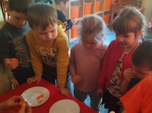 IMG20230427104136